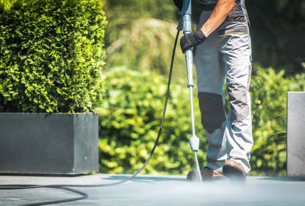 Best Driveway Pressure Washing  in Alvord, TX